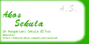 akos sekula business card